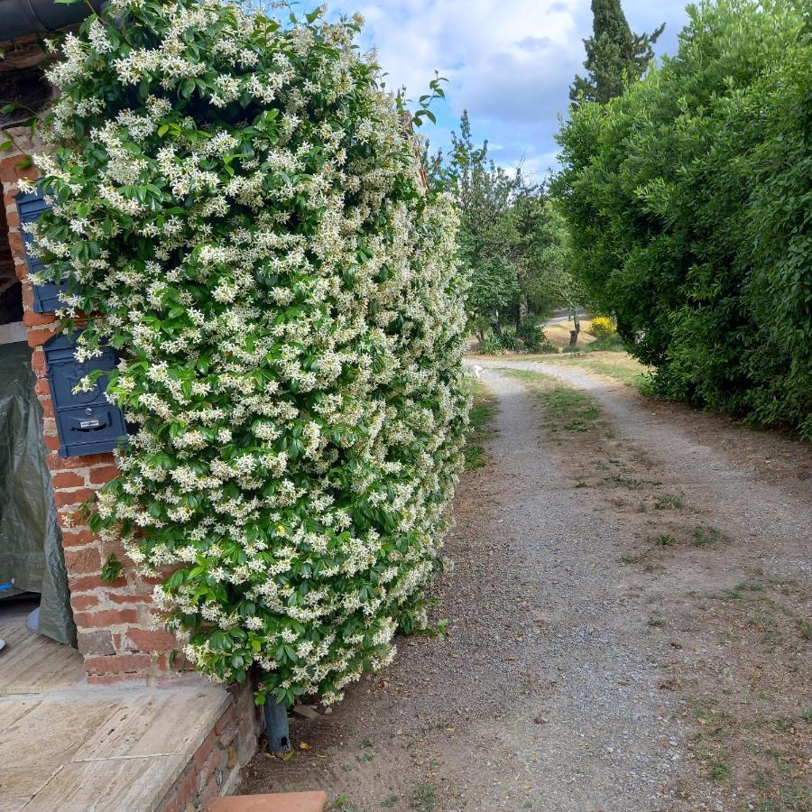 Podere Casalbosco - Idromassaggio E Panorama Раполано Терме Екстериор снимка