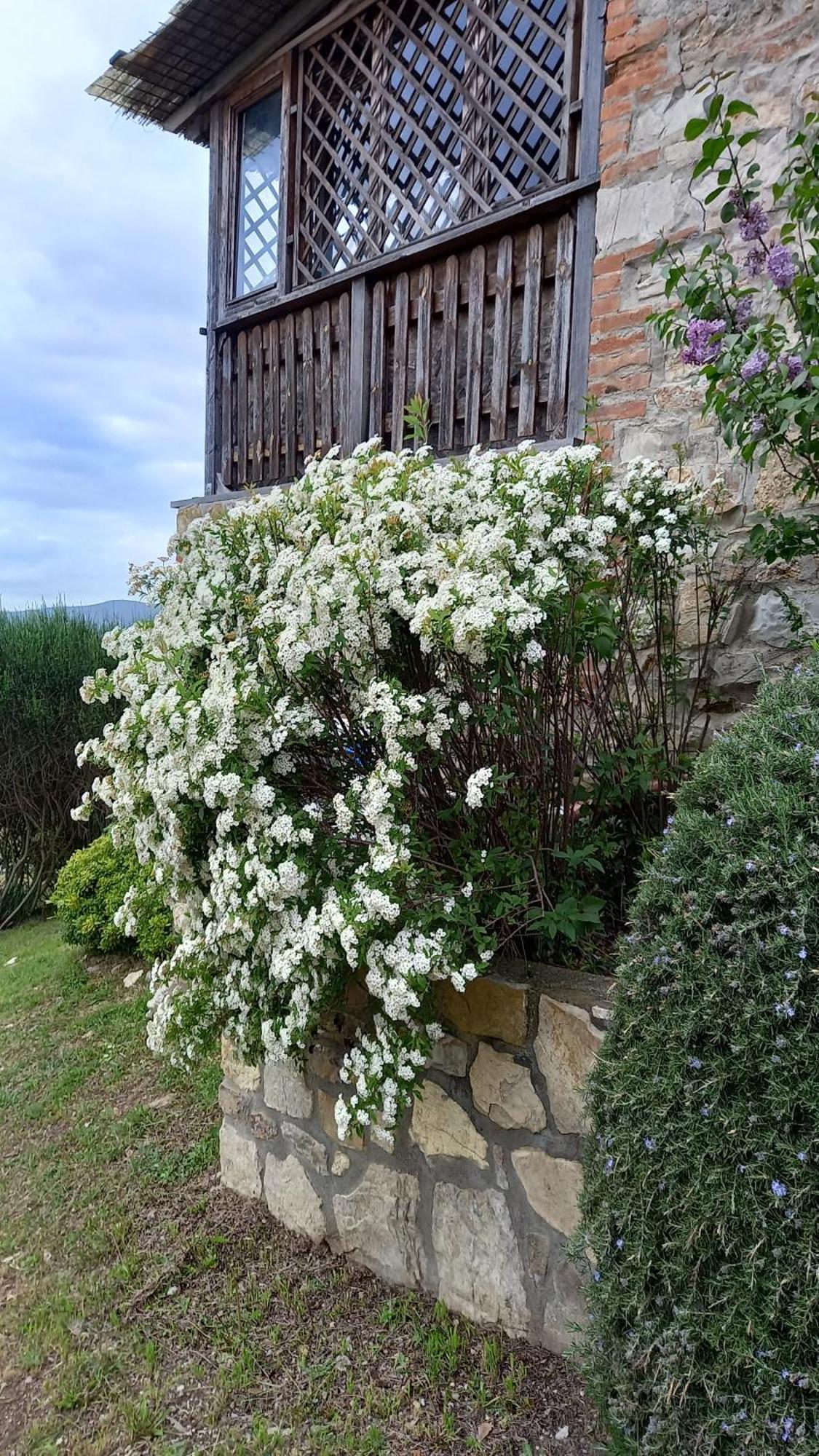 Podere Casalbosco - Idromassaggio E Panorama Раполано Терме Екстериор снимка